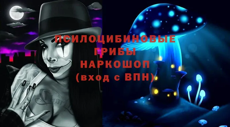 Галлюциногенные грибы Magic Shrooms  Семилуки 